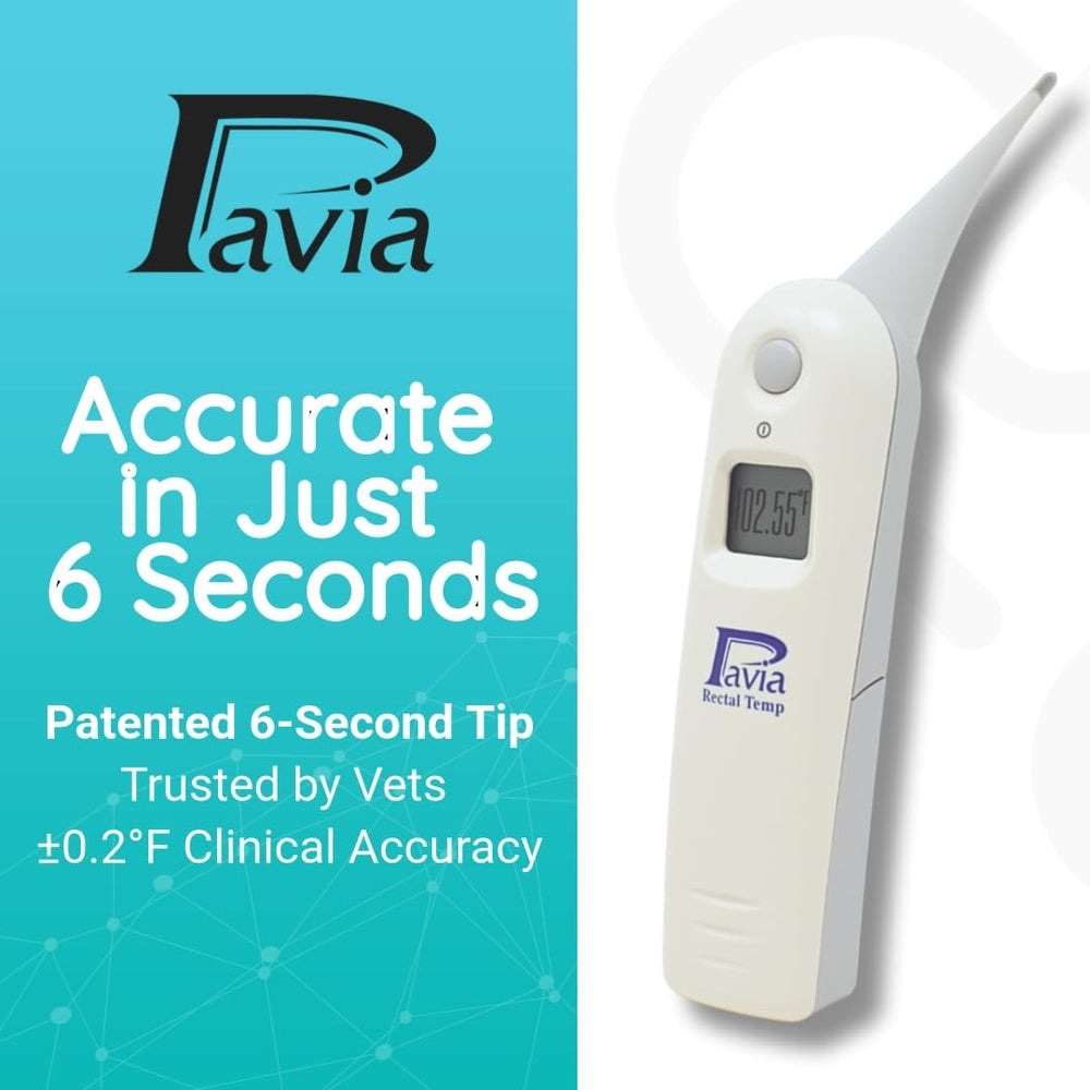 Pavia Rectal Temp Thermometer cordless design supports one-handed operation in busy clinics.