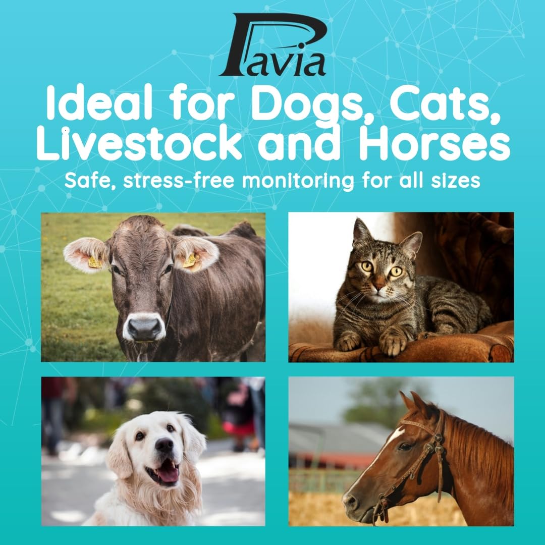 Pavia Rectal Temp Thermometer no covers design supports hygienic, reusable cleaning.