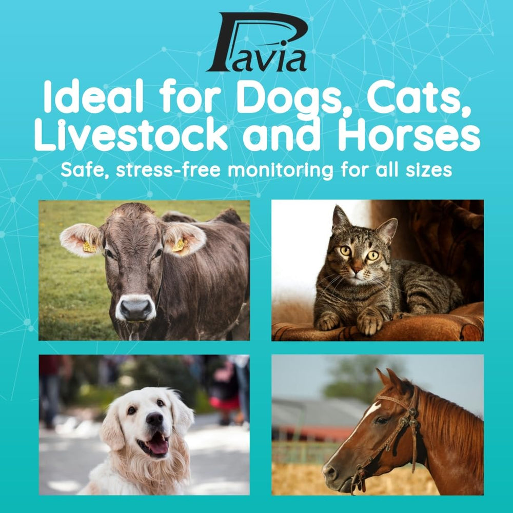Pavia Rectal Temp Thermometer no covers design supports hygienic, reusable cleaning.