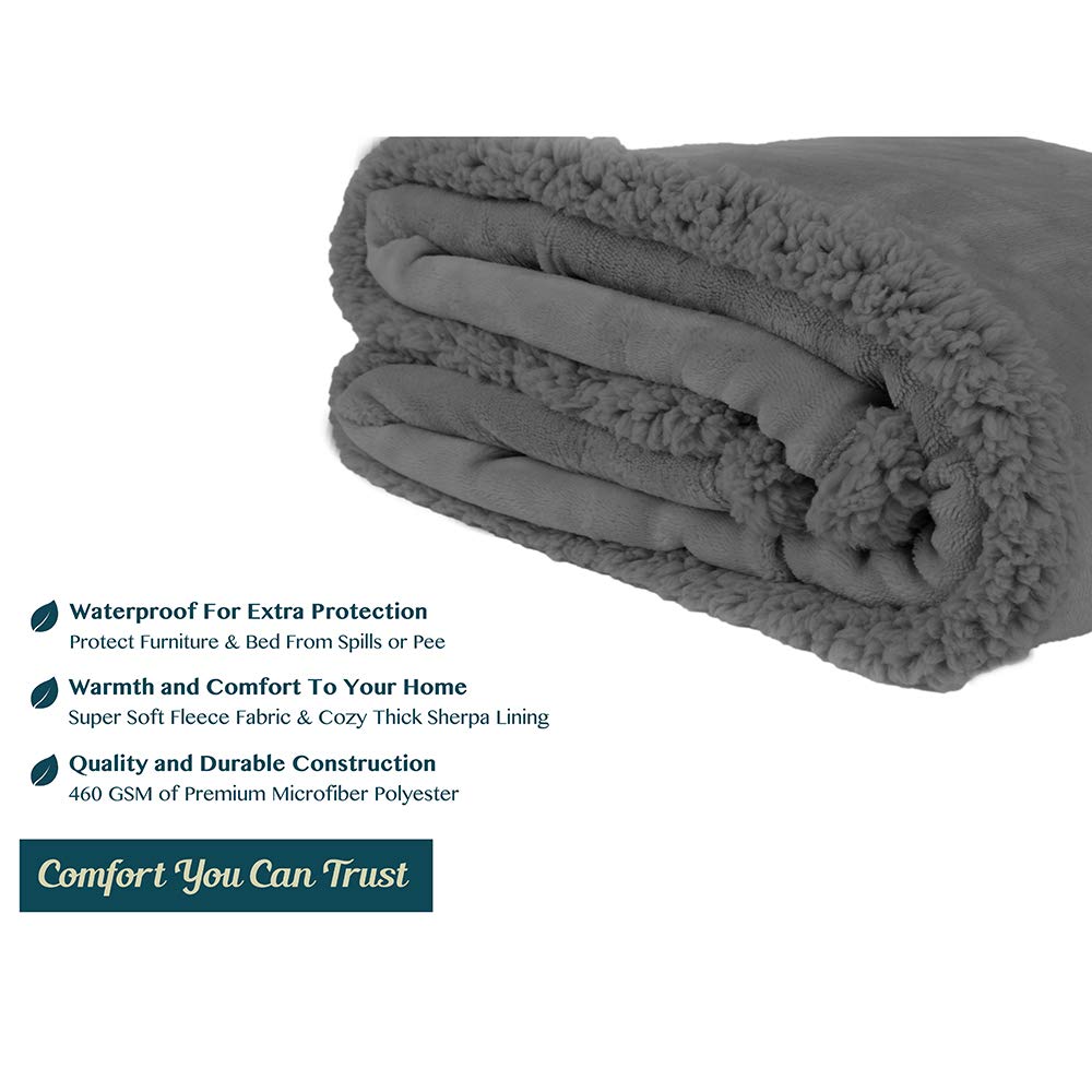 Pavilia 60x80 inch blanket in living room provides full couch coverage.