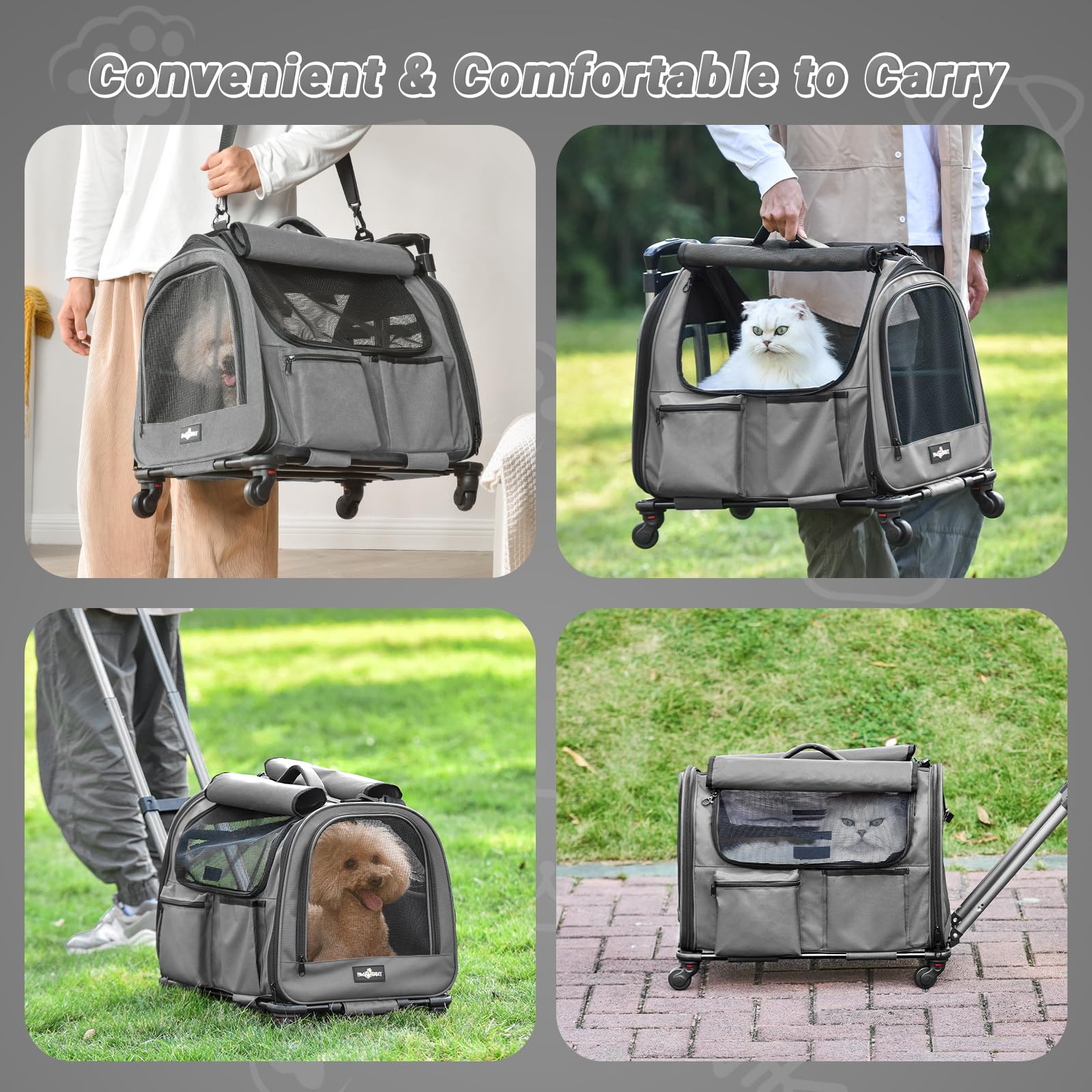 PAW BALLET four entry doors provide easy access and supervision
