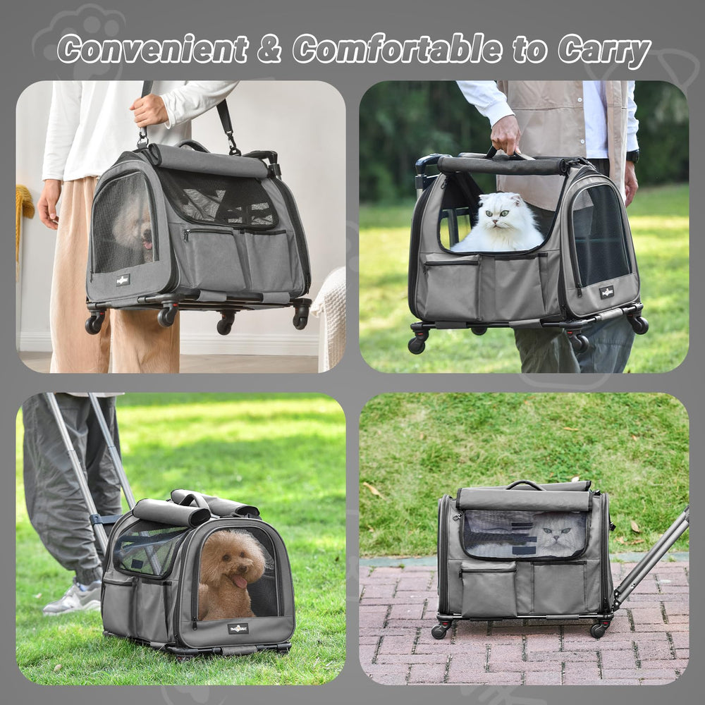 PAW BALLET four entry doors provide easy access and supervision