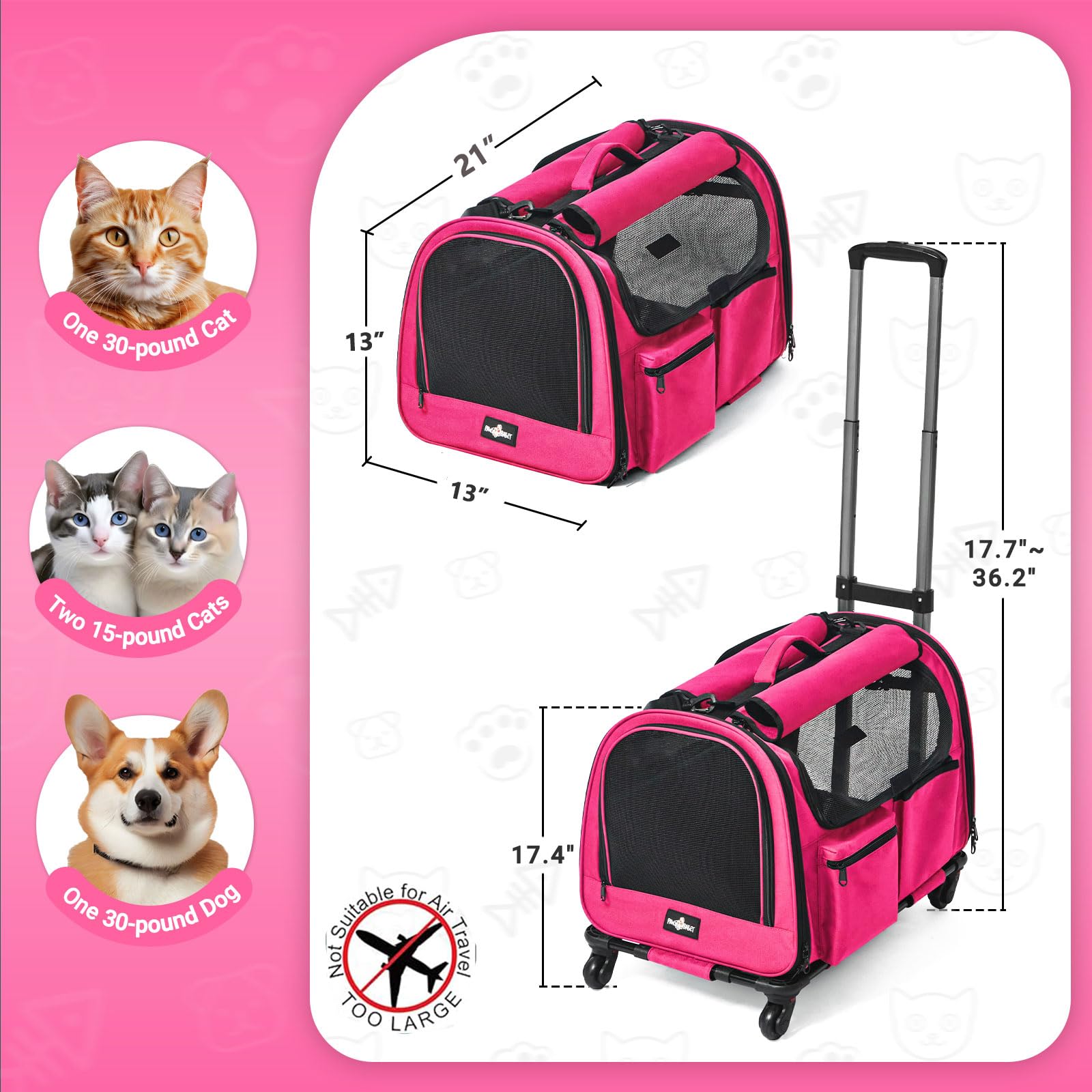 PAW BALLET large pet carrier front view highlights spacious interior for pets up to 30 lb.