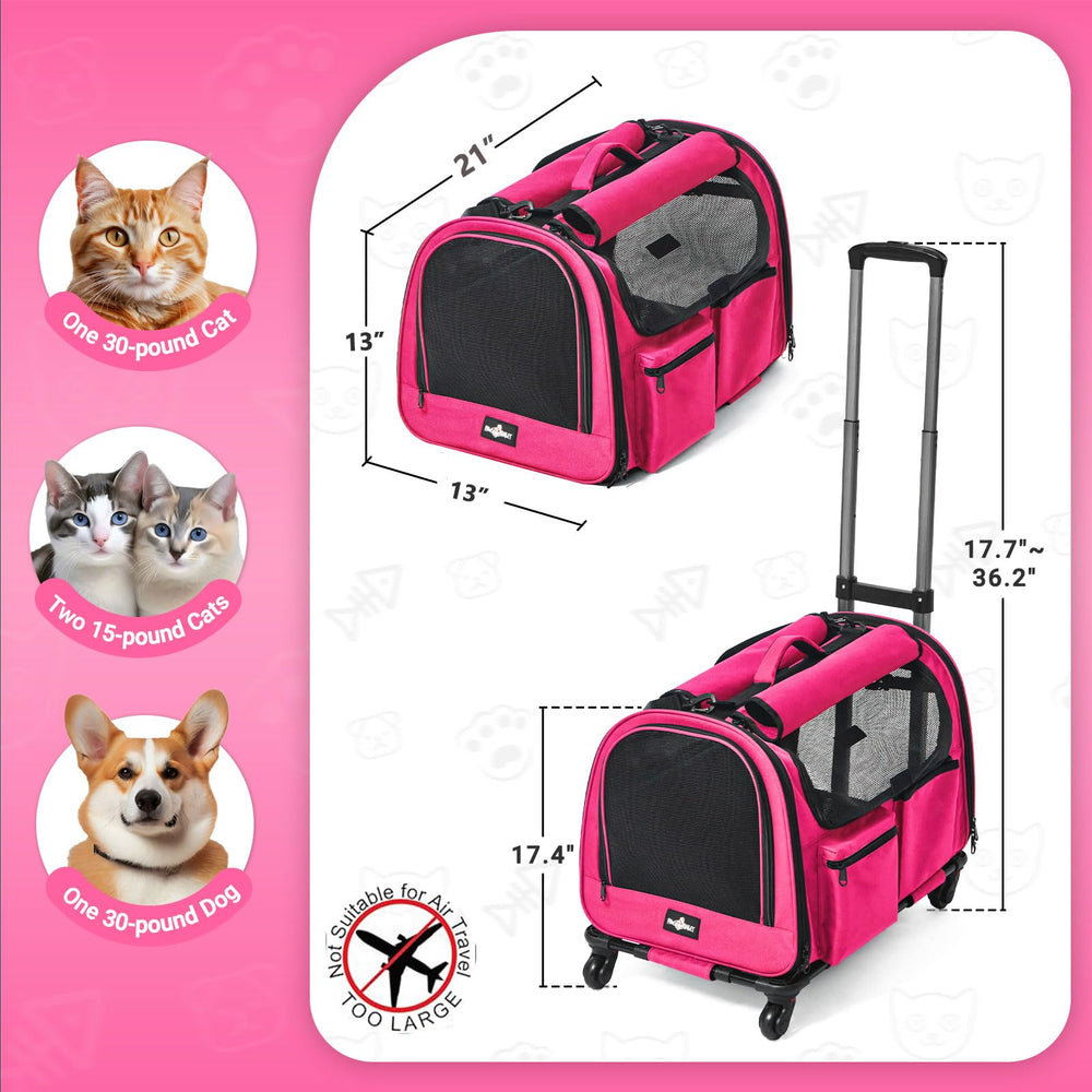 PAW BALLET large pet carrier front view highlights spacious interior for pets up to 30 lb.