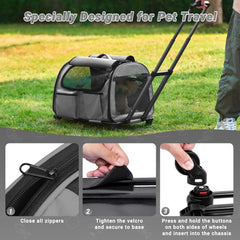 PAW BALLET storage pockets on carrier for on-the-go essentials