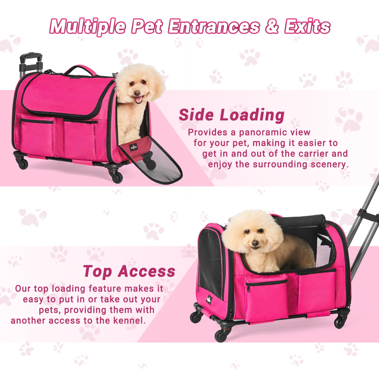 PAW BALLET ventilation mesh windows illustrates airflow and pet visibility.