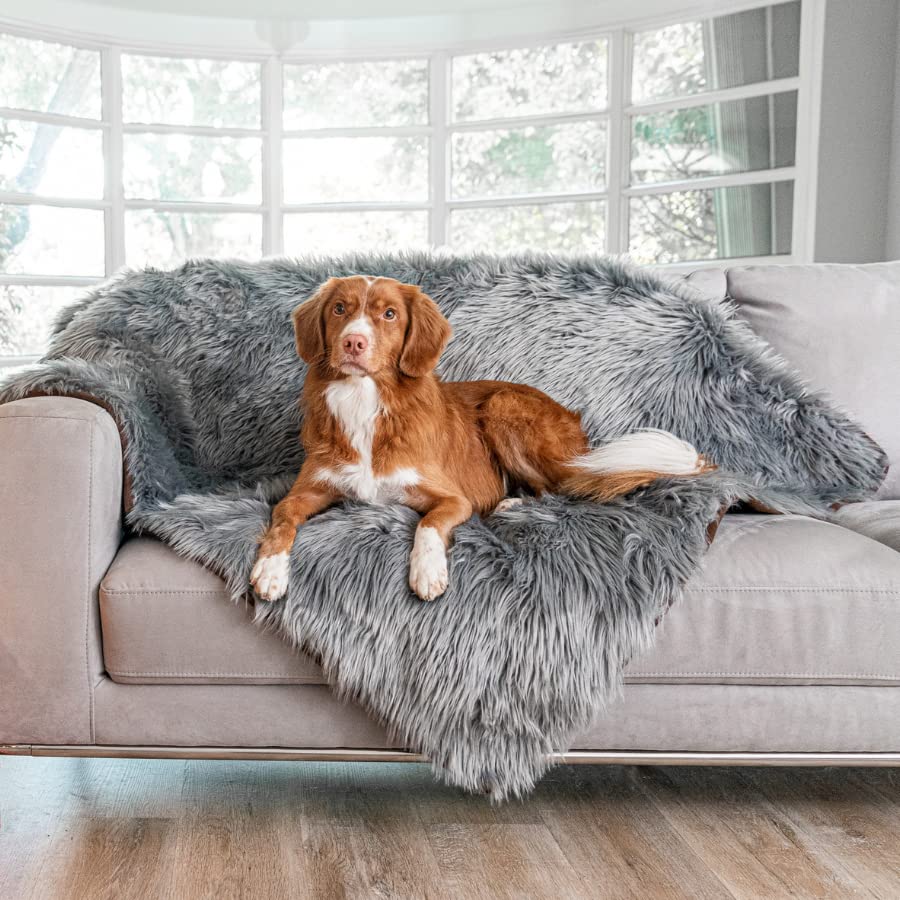 PAW BRANDS PupProtector large blanket offers a warm, secure nap spot for dogs and cats