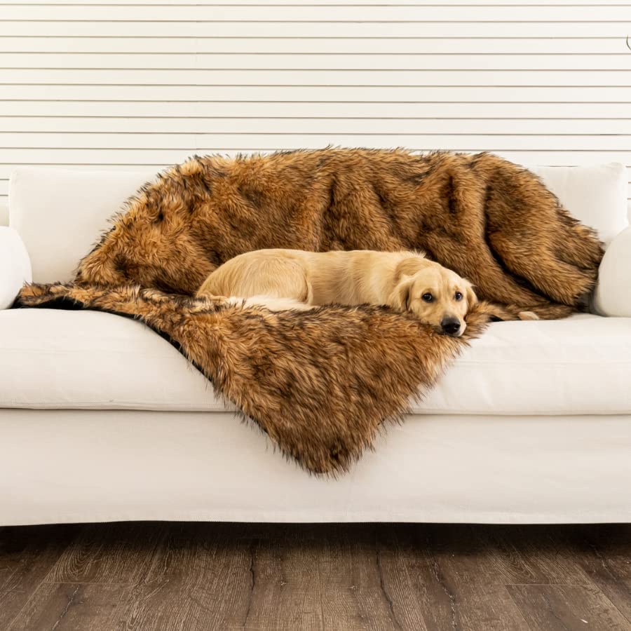 PAW BRANDS PupProtector protecting car seat from fur and spills
