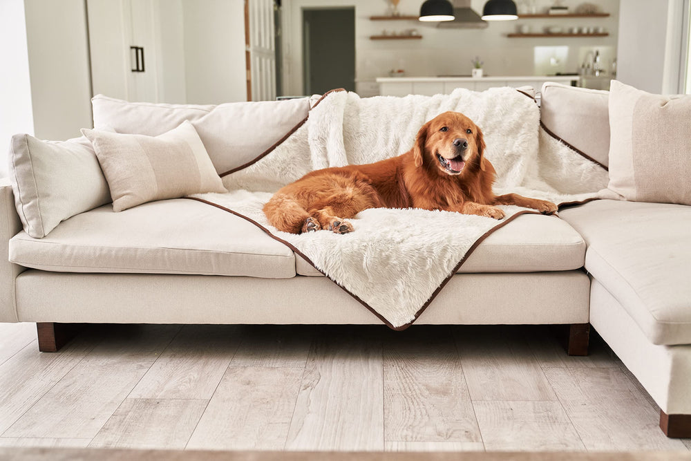 PAW BRANDS PupProtector ready for machine wash keeps cleanup simple