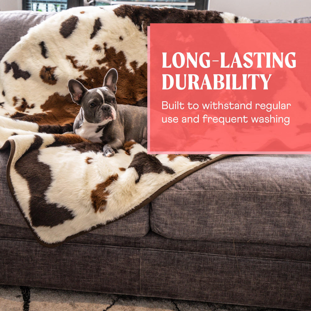 PAW BRANDS PupProtector cat dog coverage keeps multiple pets comfortable and protected.
