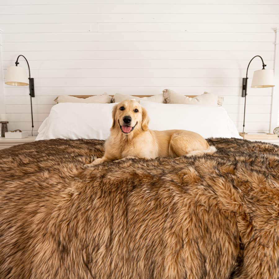 PAW BRANDS PupProtector on a couch during playtime provides duvet-like comfort