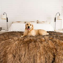 PAW BRANDS PupProtector on a couch during playtime provides duvet-like comfort