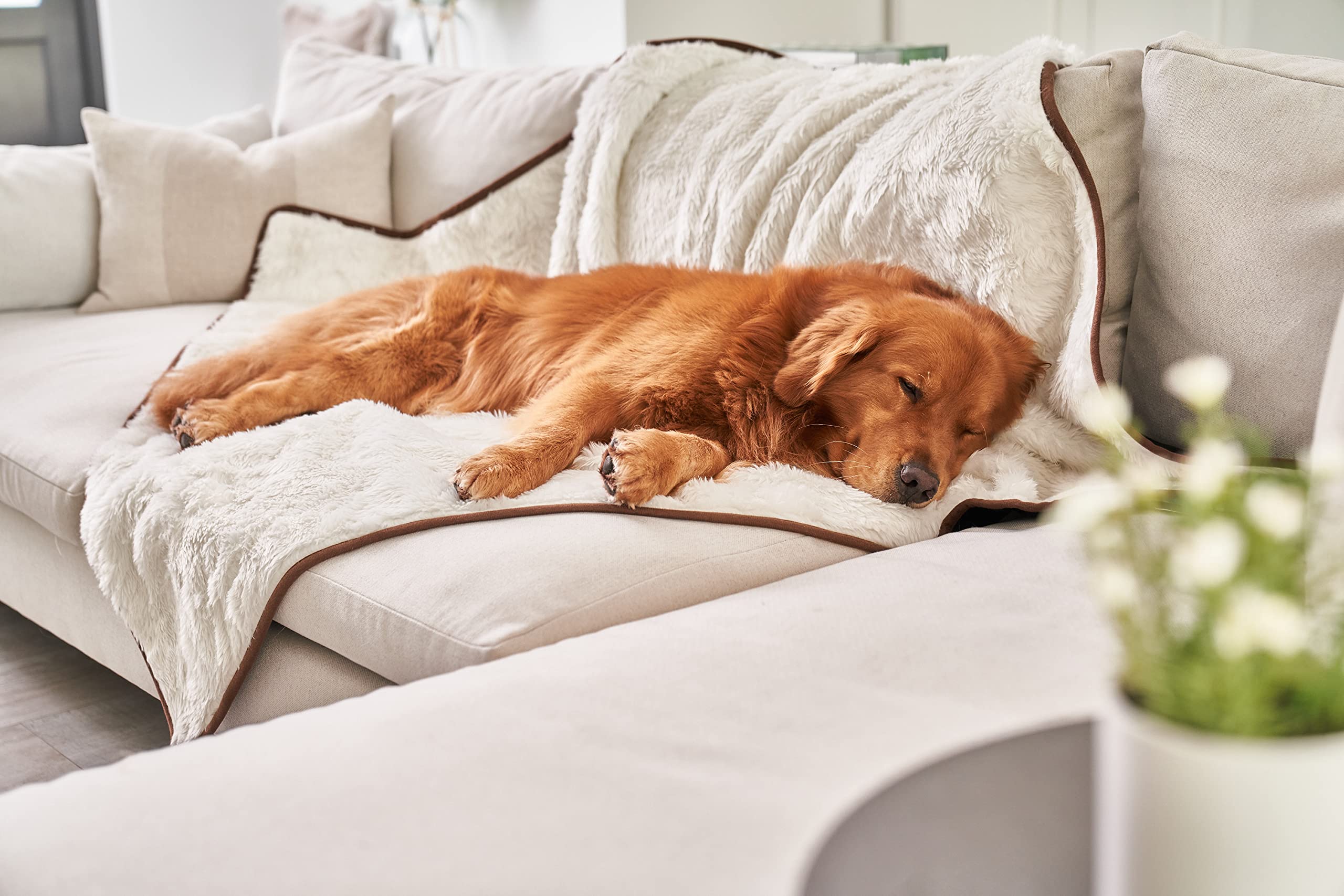 PAW BRANDS PupProtector microsuede reverse drape shows smooth protective backing
