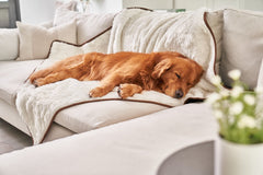 PAW BRANDS PupProtector microsuede reverse drape shows smooth protective backing