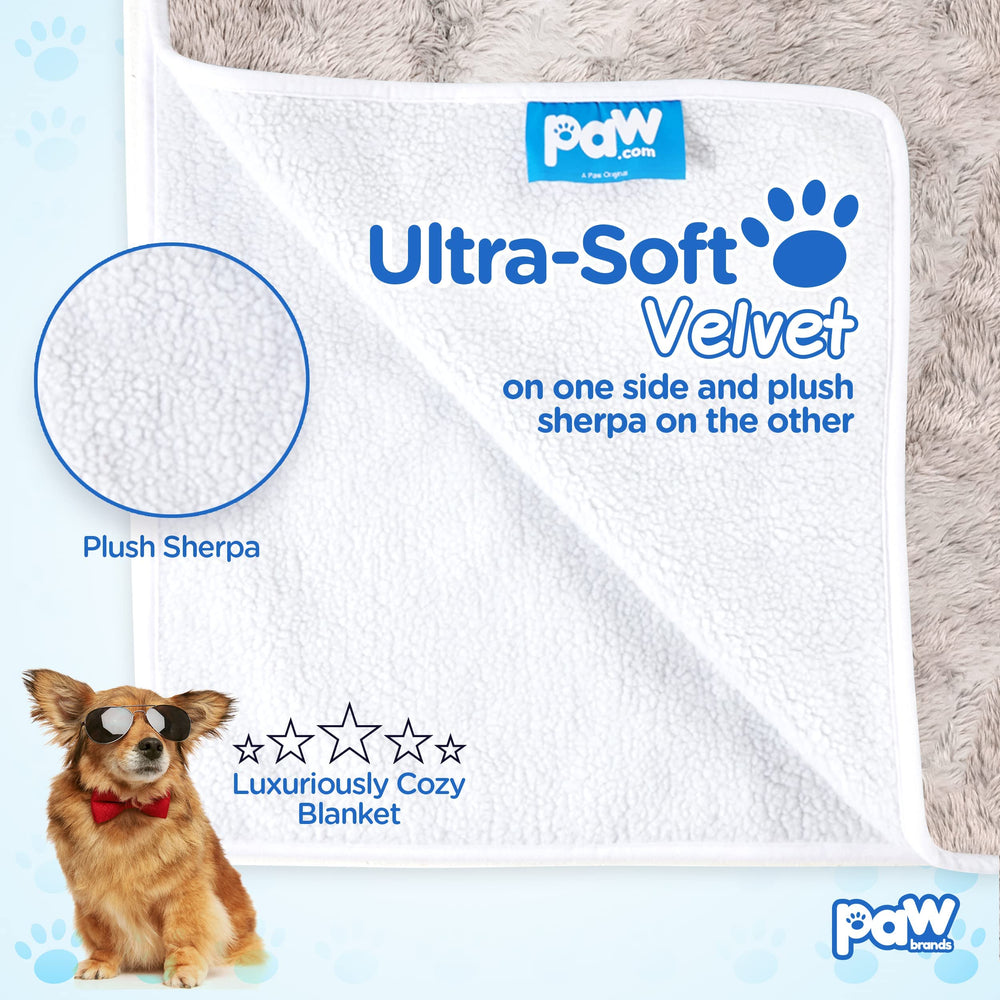 PAW BRANDS PupProtector multi-pet use on beds shows shared comfort for dogs and cats.