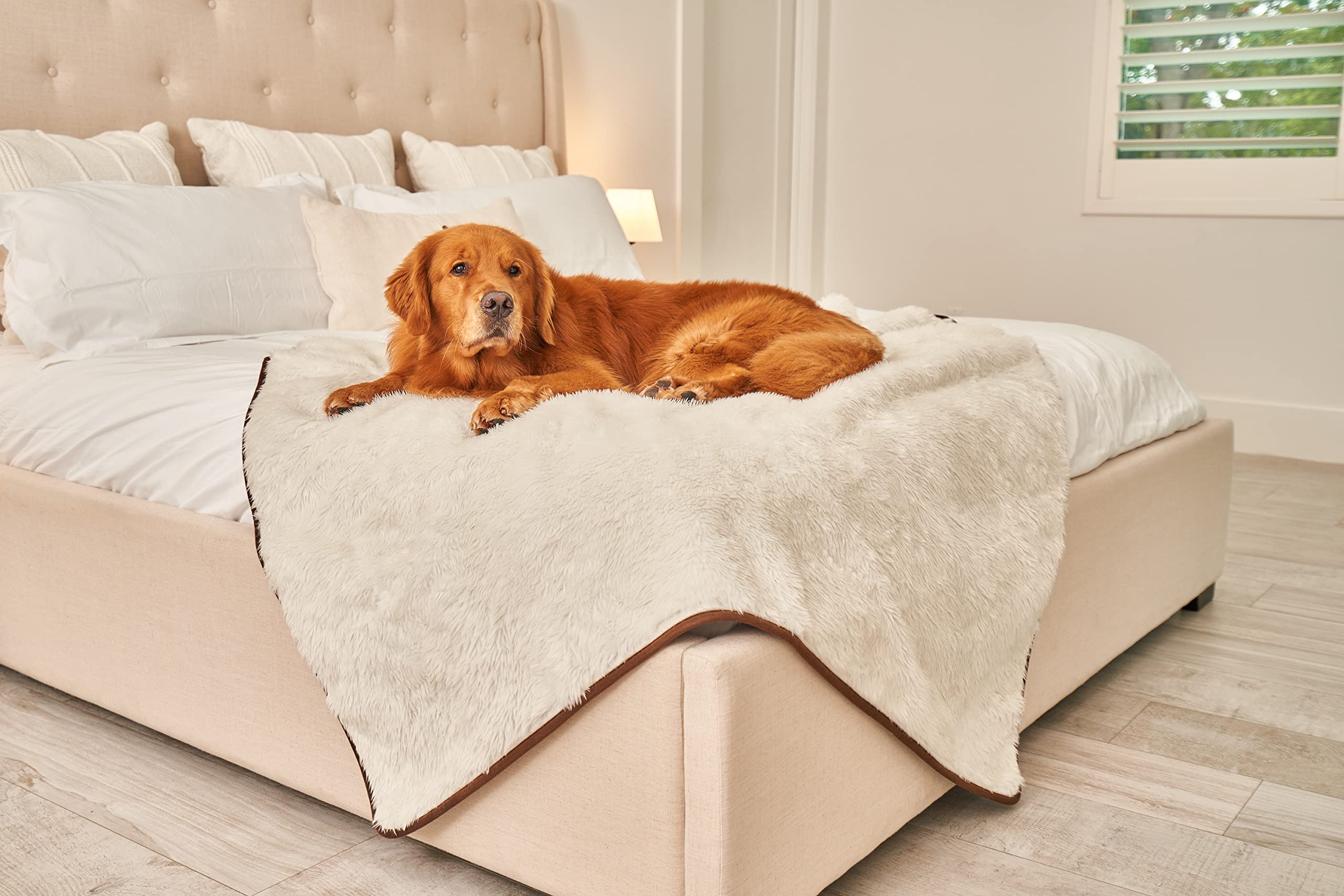 PAW BRANDS PupProtector on pet bed demonstrates full coverage and protection