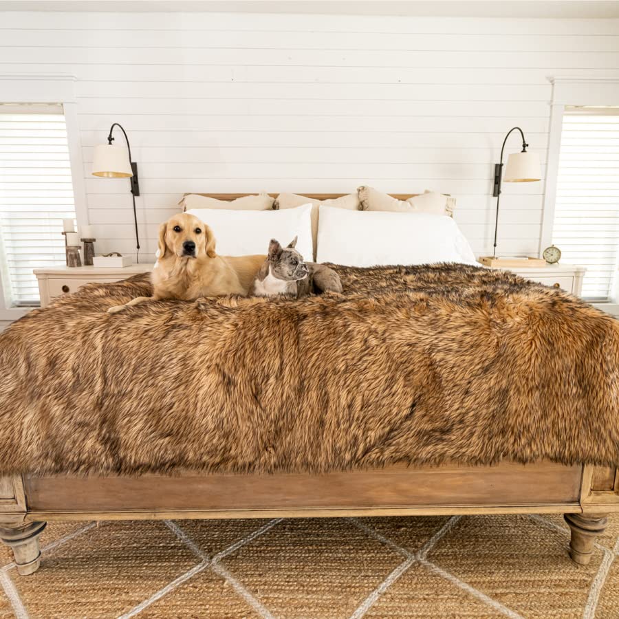 PAW BRANDS PupProtector size 60-by-50 fits sofas and beds