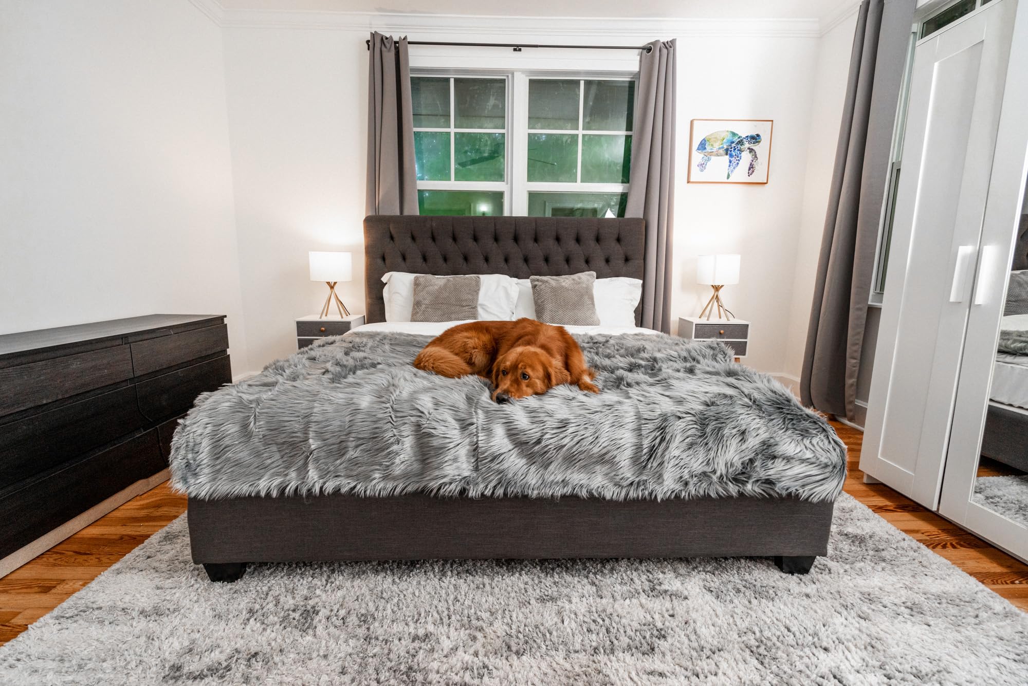 PAW BRANDS PupProtector on bed illustrates cozy warmth for pets.