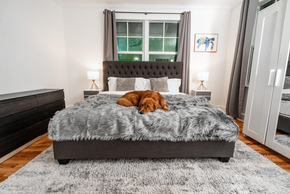 PAW BRANDS PupProtector on bed illustrates cozy warmth for pets.