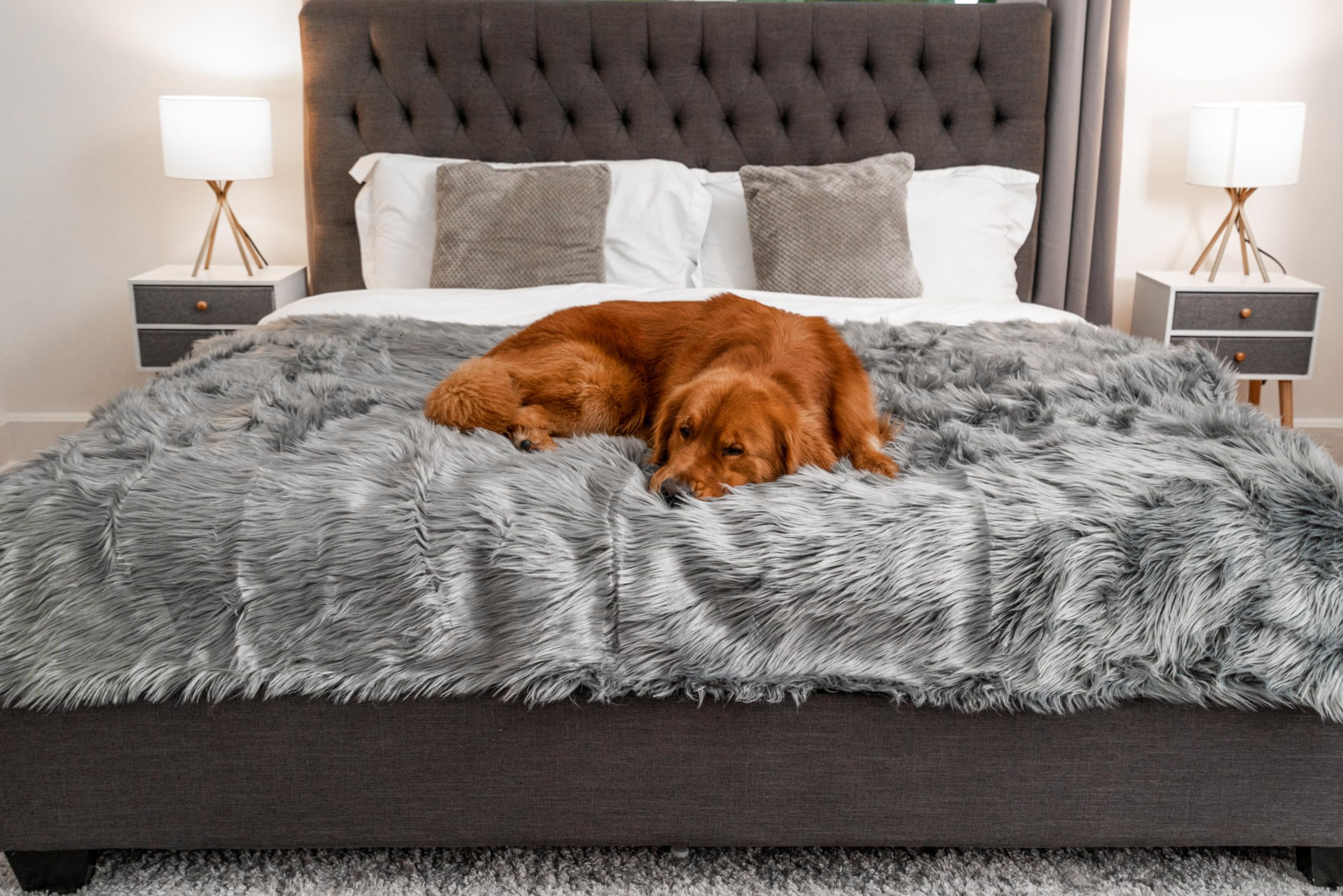 PAW BRANDS PupProtector close-up faux fur highlights calming softness.