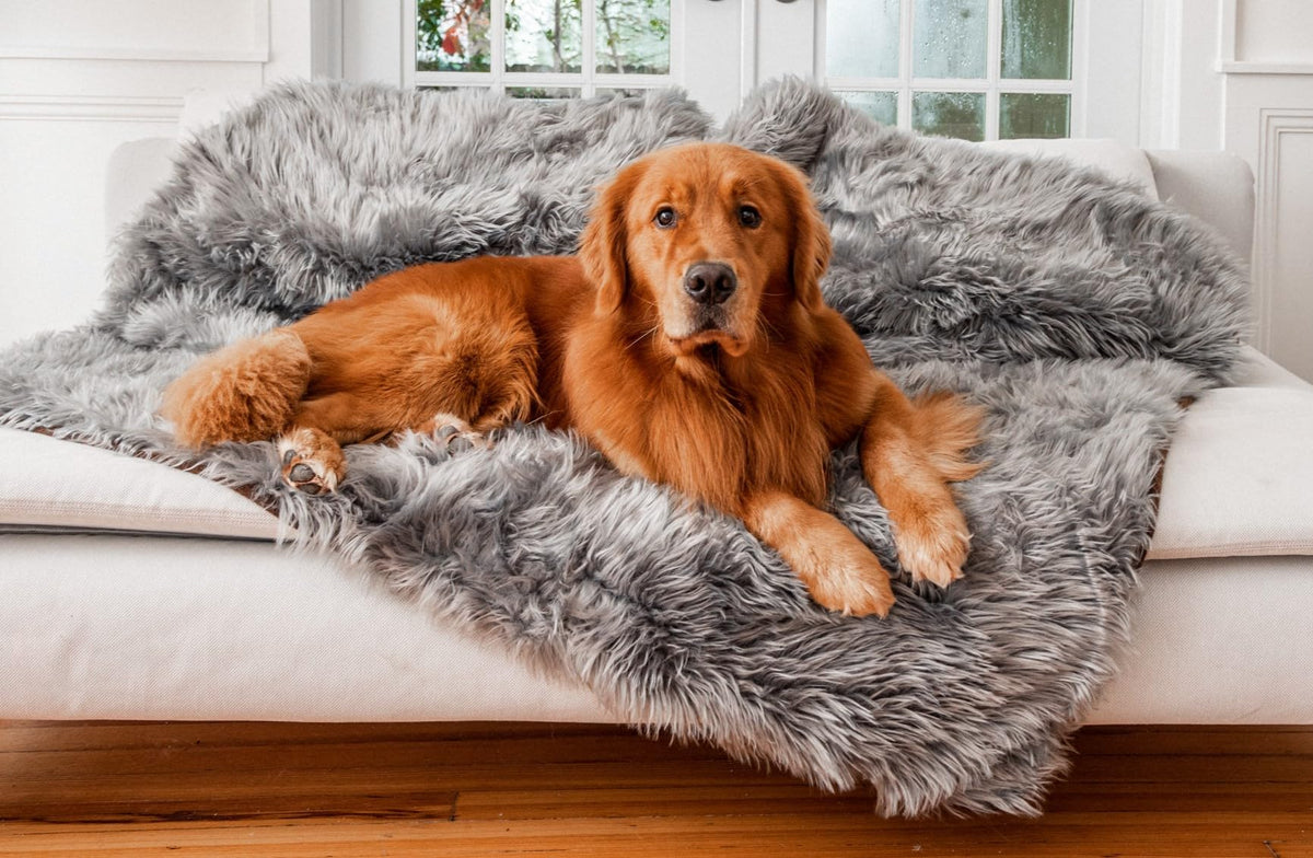 PAW BRANDS PupProtector folded charcoal grey blanket protects furniture from spills.