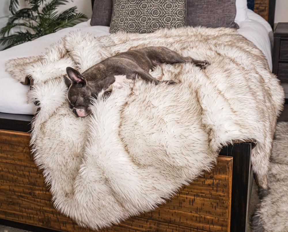 PAW BRANDS PupProtector waterproof throw blanket on couch protects furniture with cozy faux fur.