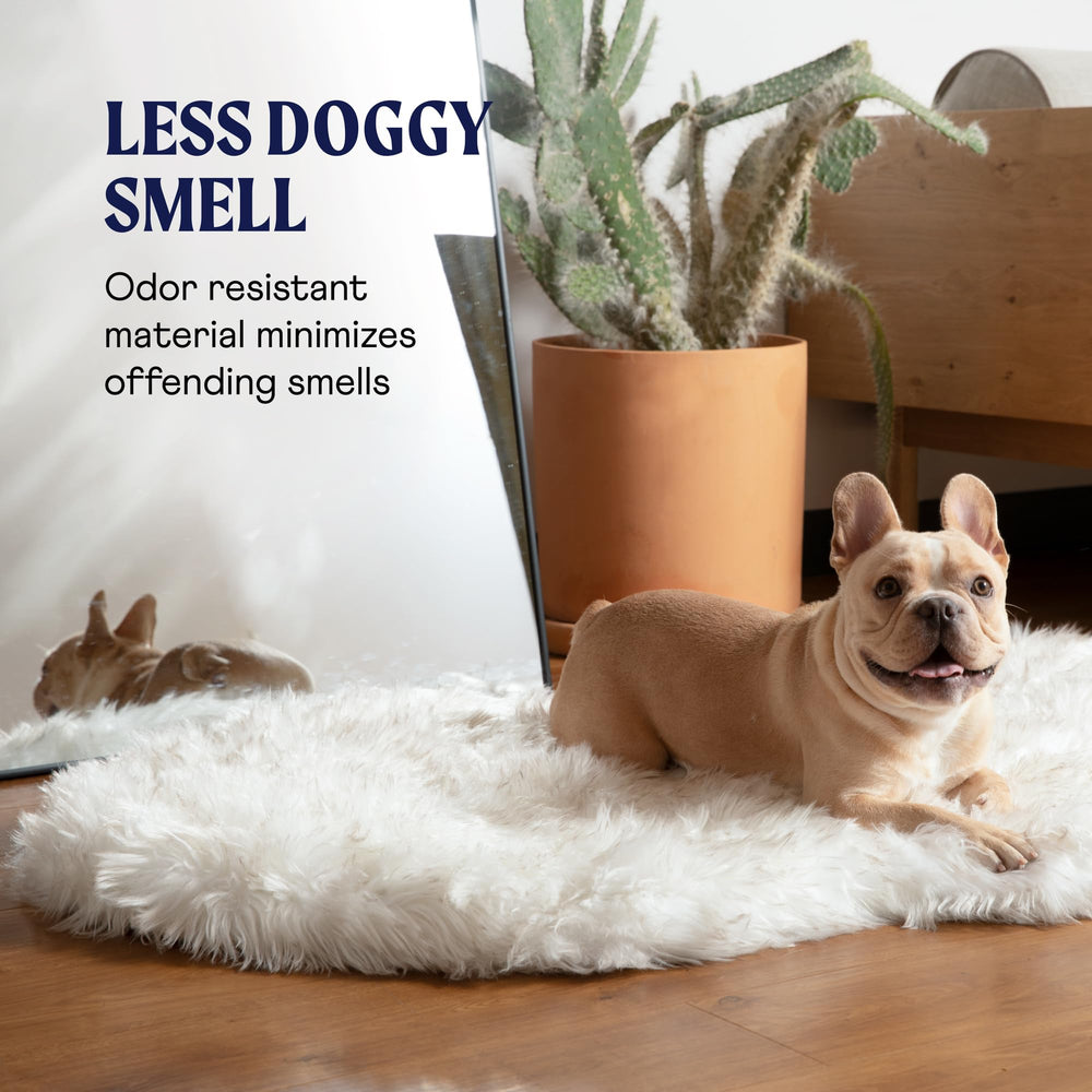 PAW BRANDS PupRug machine-washable cover simplifies cleaning.