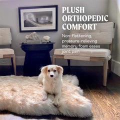 PAW BRANDS PupRug modern design fits stylish living spaces.
