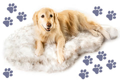 PAW BRANDS PupRug memory foam closeup for joint support and comfort.