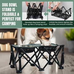 Paw-er Play elevated dog bowl stand shown for 10-inch height supporting comfortable eating.