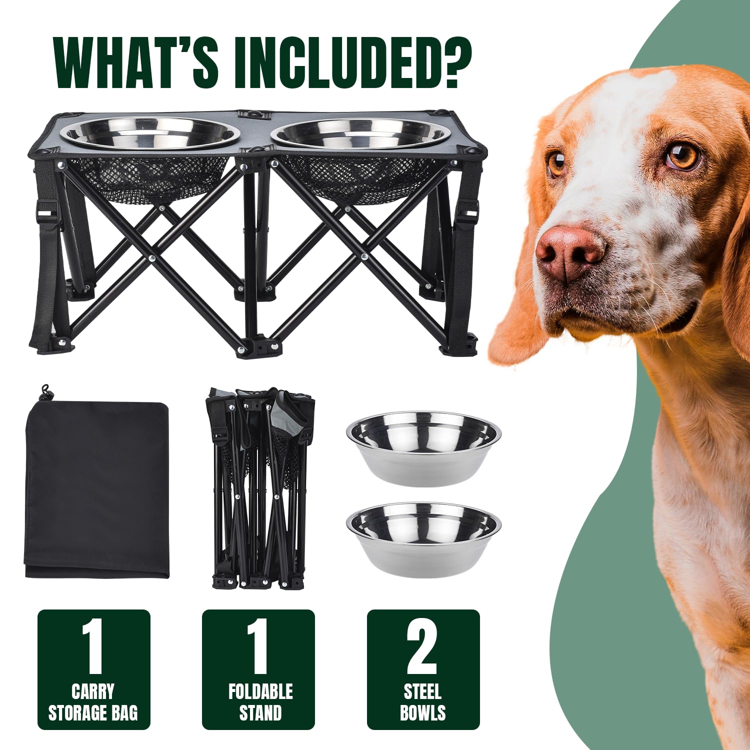 Paw-er Play portable design suits indoor dining and outdoor adventures.