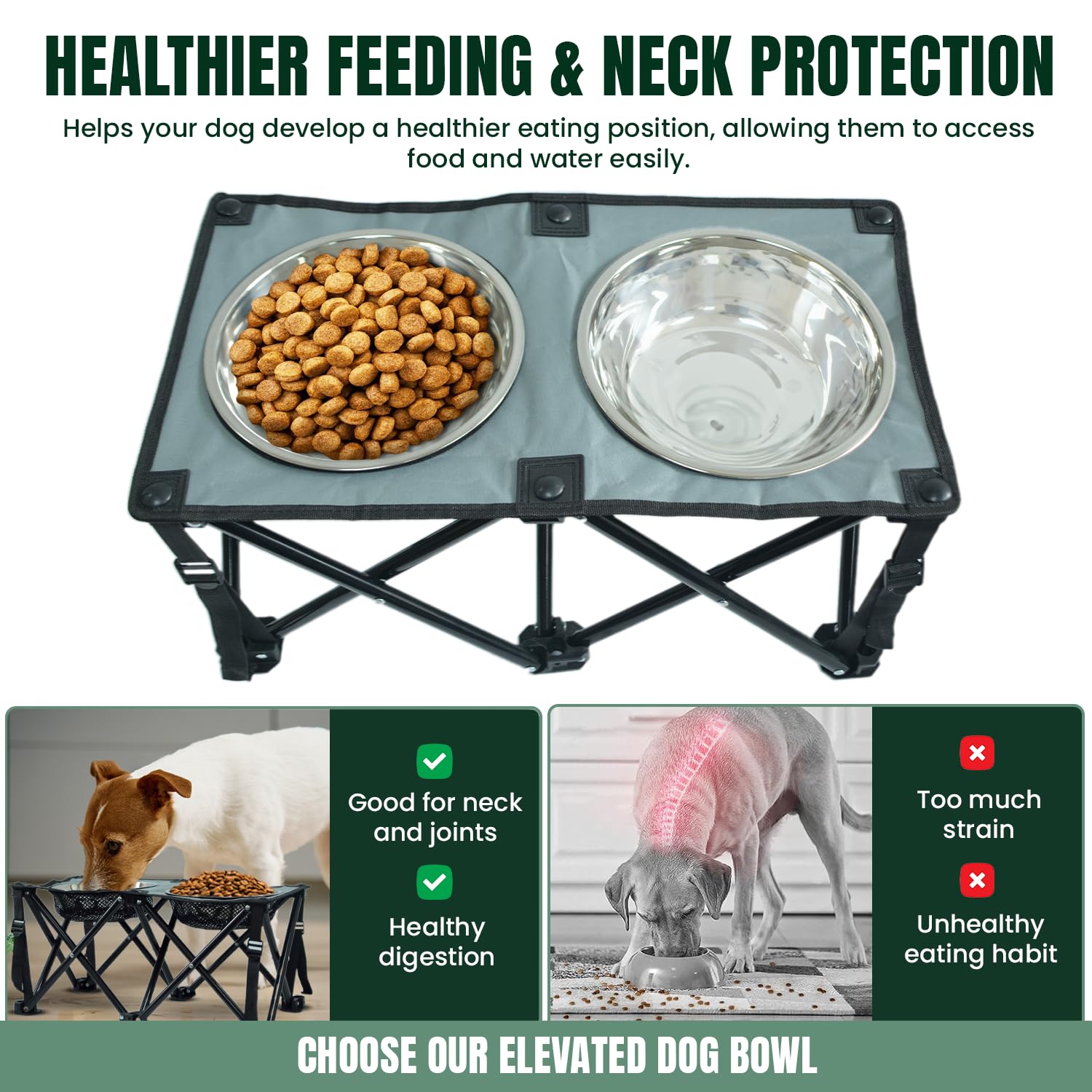 Paw-er Play stainless bowls shown, delivering hygienic meals and straightforward cleaning.