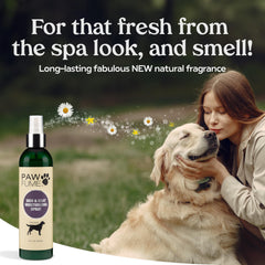 PAWFUME 4-pack box highlights value for regular use on multiple dogs