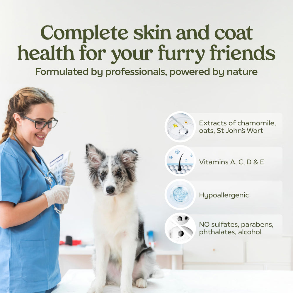 PAWFUME grooming session image shows detangler in action on tangled fur