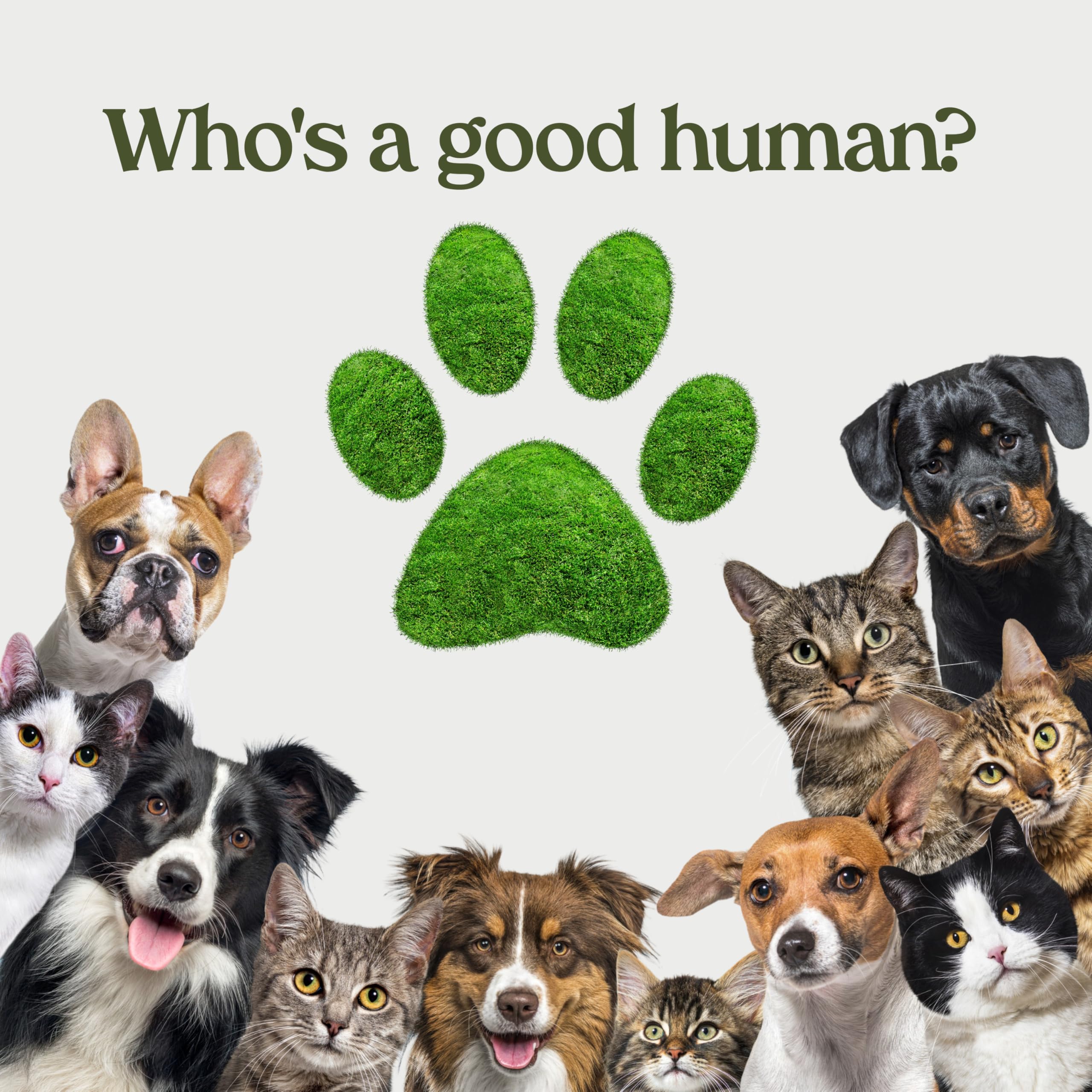 PAWFUME label close-up emphasizes vet-certified, sulfate-free formula