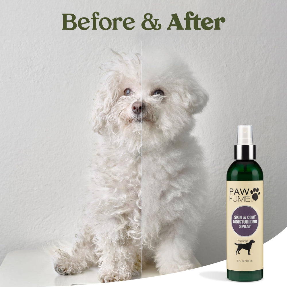 PAWFUME quick-dry photo showcases a non-greasy finish
