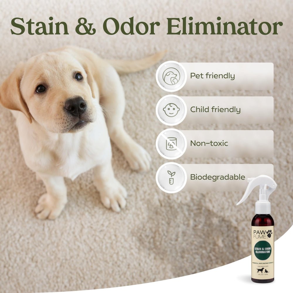 Paw Fume long-lasting fragrance 3–5x retention promise noted in product copy.