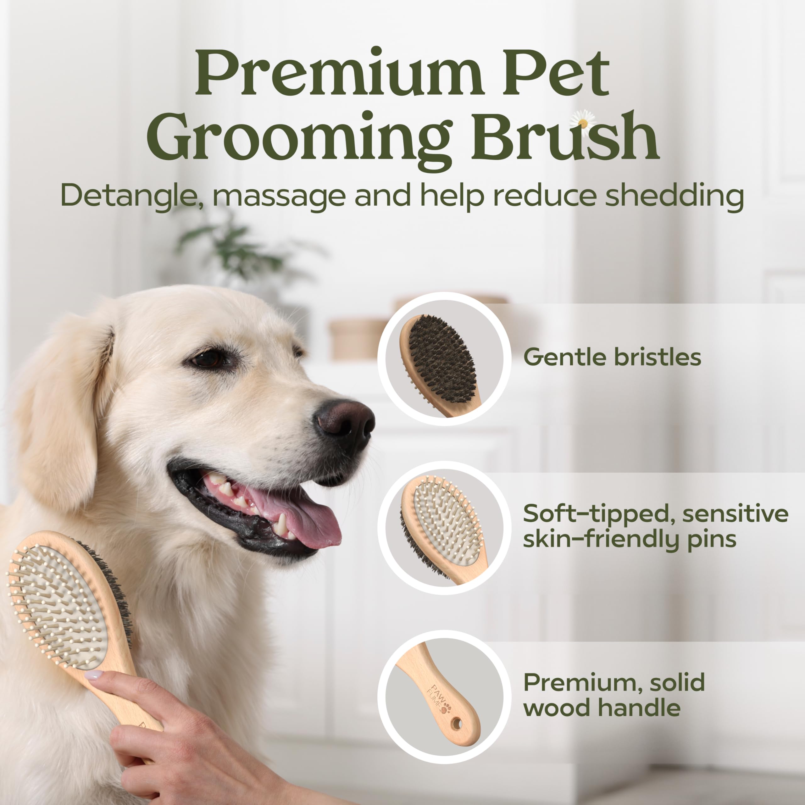Paw Fume on-the-go spa kit demonstrates travel-friendly grooming routine anytime.
