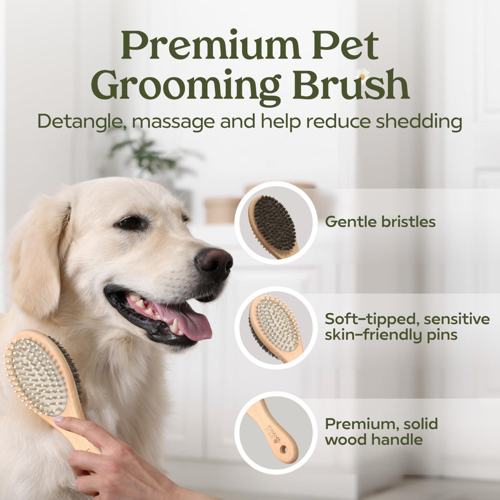 Paw Fume on-the-go spa kit demonstrates travel-friendly grooming routine anytime.