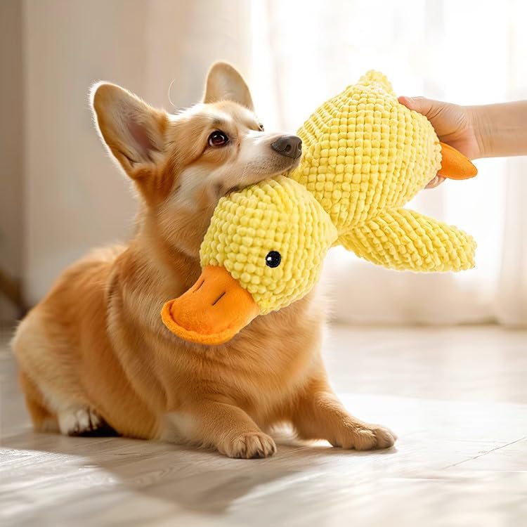 Paw Gem Mellow Yellow Duck Toy bedtime companion for calming routines