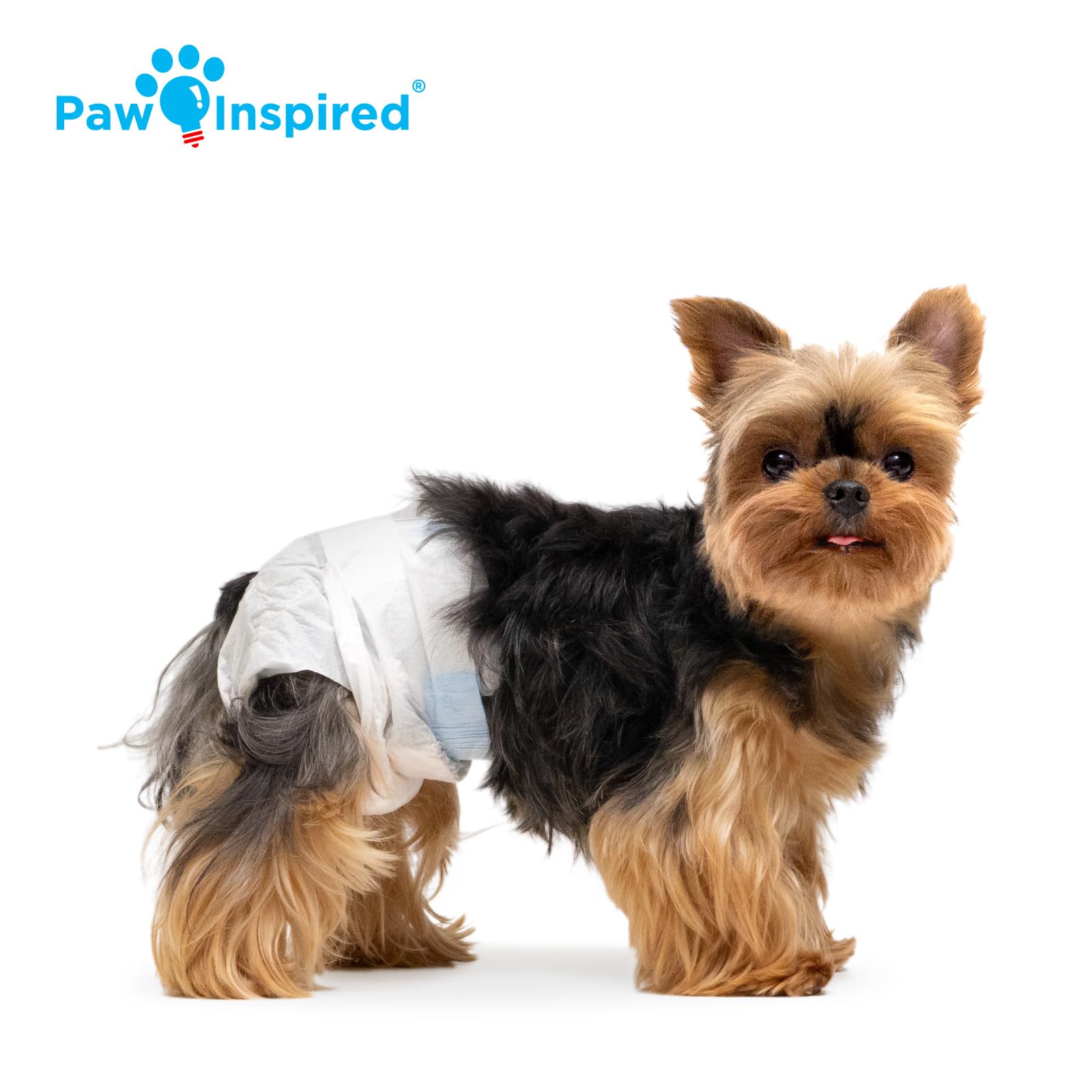 Paw Inspired fur-resistant fasteners secure diaper for active dogs