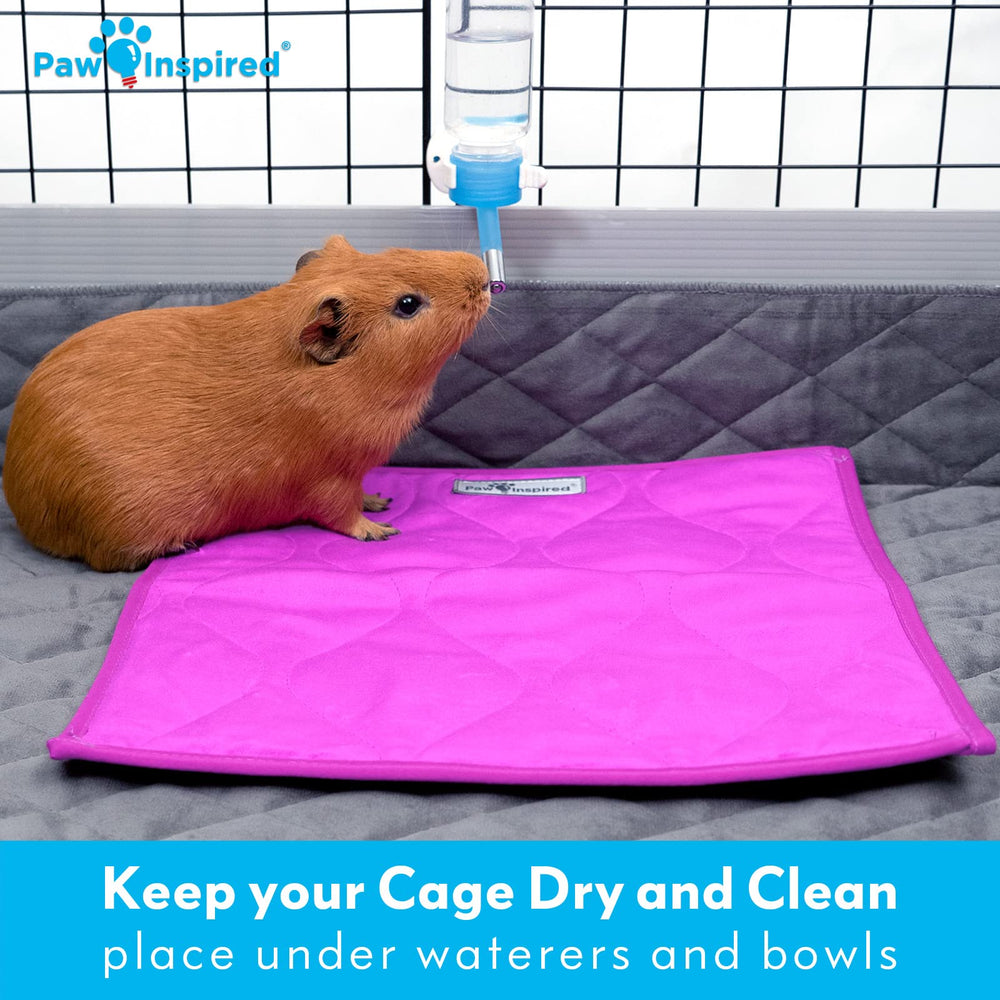 Paw Inspired absorbent moisture-wicking pad keeps surfaces dry in small habitats.