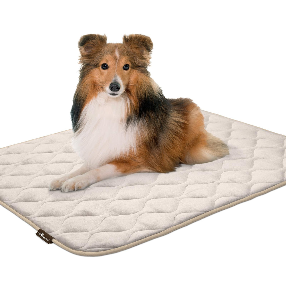 Paw Inspired mat machine-washable for easy cleanup after messy adventures