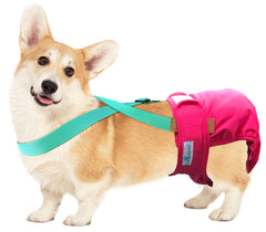 Paw Inspired dog diaper suspenders adjustable length for a snug, customizable fit.