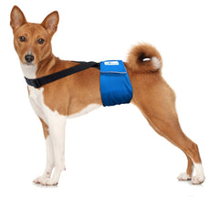 Paw Inspired adjustable straps demonstrate customizable fit for all dog sizes