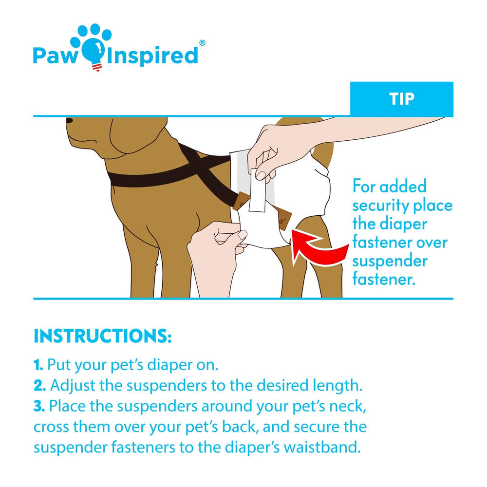 Paw Inspired suspenders small to large sizes shown with sizing chart for secure fit.