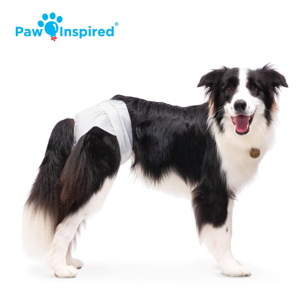 Paw Inspired breathable bottom layers keep dogs comfortable during wear