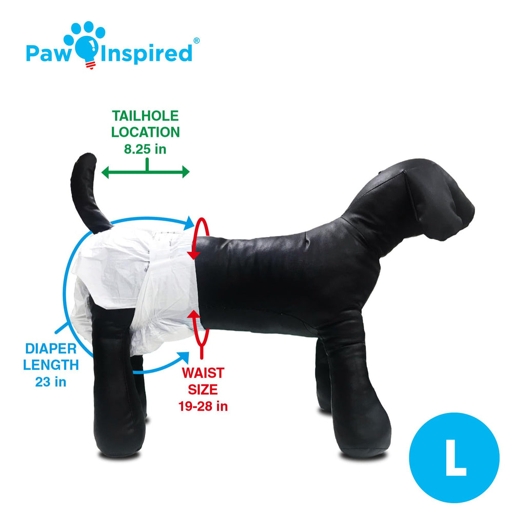 Paw Inspired Large-size fit usable for breeds like dachshund and bulldog
