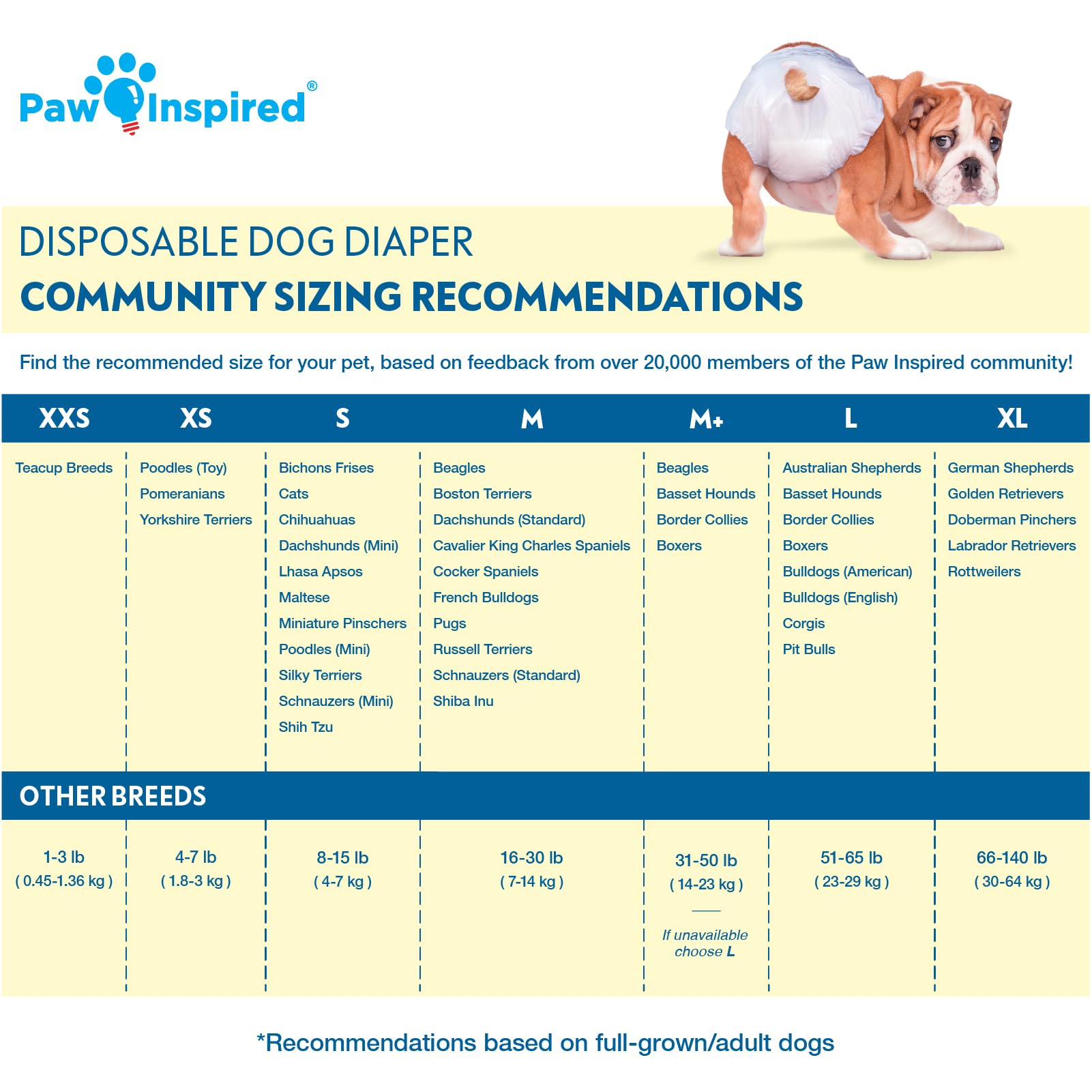 Paw Inspired dog diapers on a small dog demonstrating secure fit for tiny breeds.