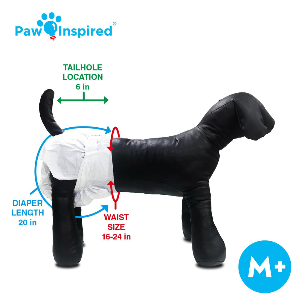 Paw Inspired sizing chart image helps choose the right fit for breeds
